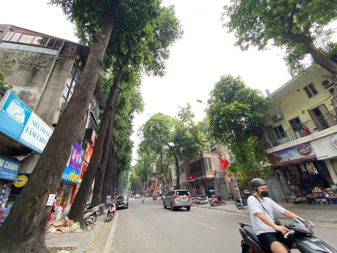 Ai vén màn sự thật về cái chết của 3 cây sao đen trên phố Lò Đúc? Ai vén màn sự thật về cái chết của 3 cây sao đen trên phố Lò Đúc?