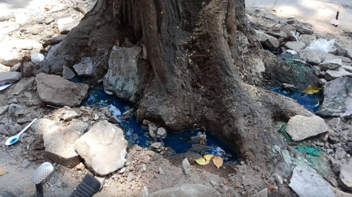 Ai vén màn sự thật về cái chết của 3 cây sao đen trên phố Lò Đúc? Ai vén màn sự thật về cái chết của 3 cây sao đen trên phố Lò Đúc?