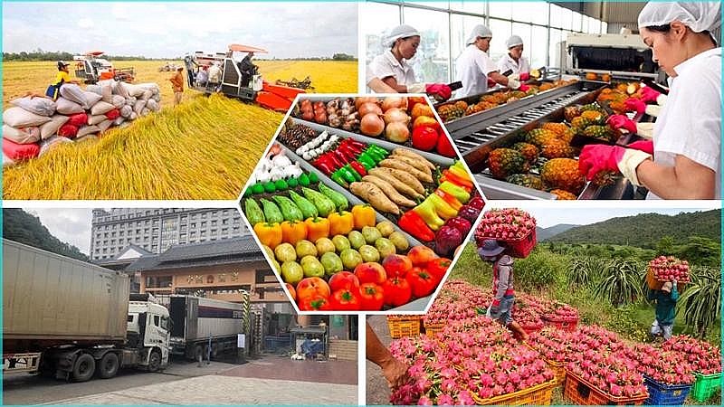 Giá cả nhiều mặt hàng nông sản tăng cao Giá cả nhiều mặt hàng nông sản tăng cao