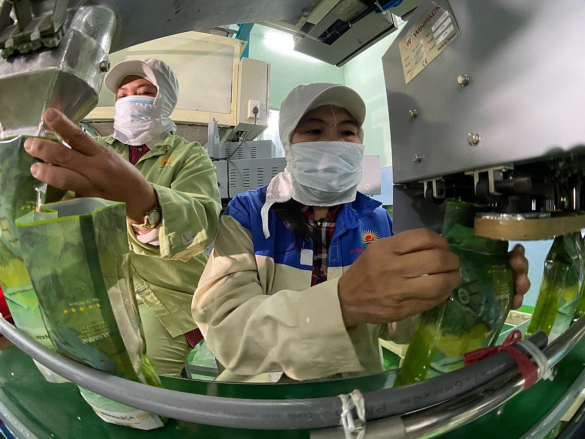 6 tháng đầu năm xuất khẩu gạo có thể đạt khoảng 4,5 triệu tấn 6 tháng đầu năm xuất khẩu gạo có thể đạt khoảng 4,5 triệu tấn