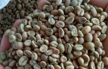 Áp lực về nguồn cung, giá cà phê bật tăng