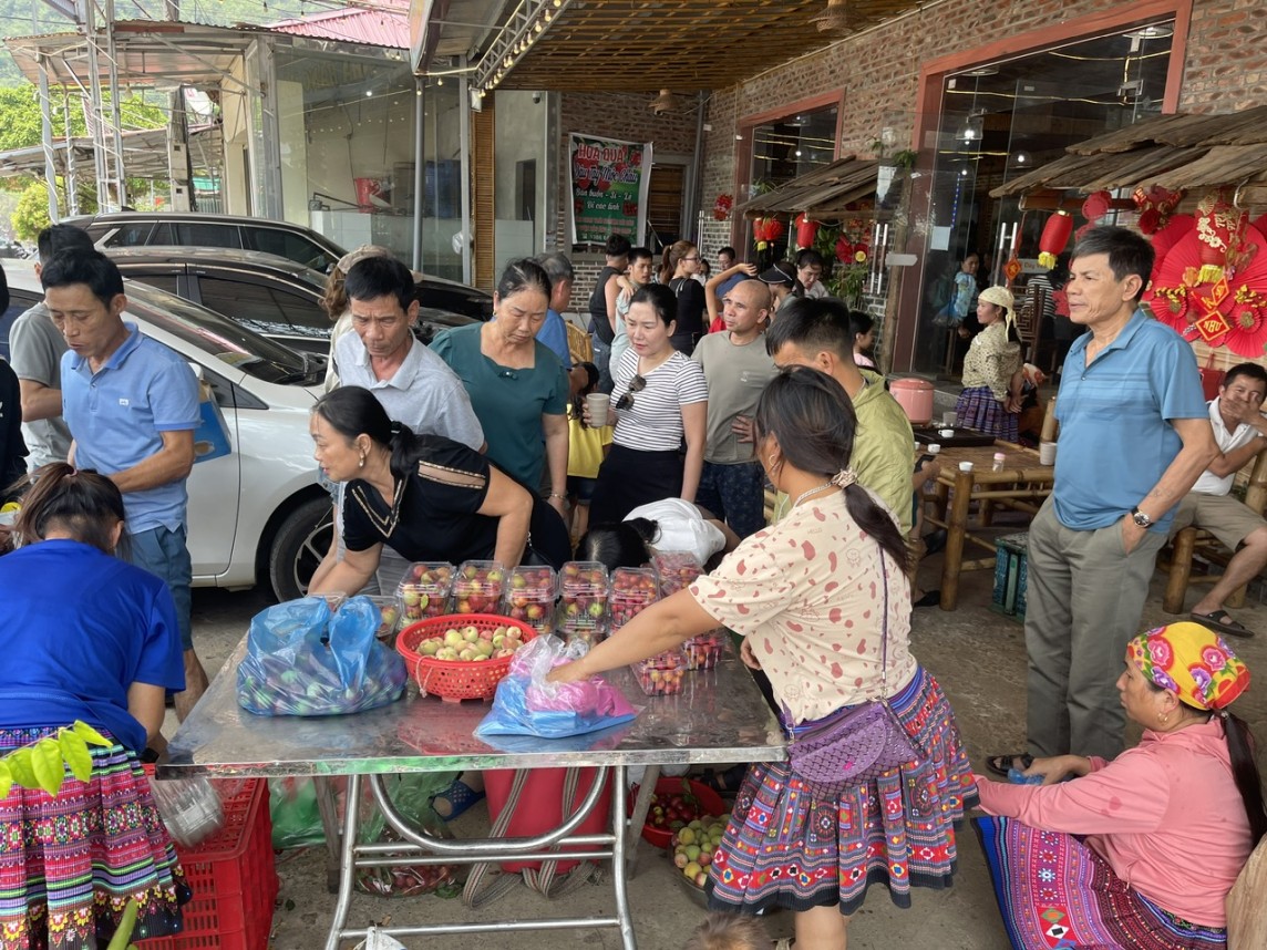 Mộc Châu: Các vườn mận tấp nập, đông nghẹt du khách Mộc Châu: Các vườn mận tấp nập, đông nghẹt du khách