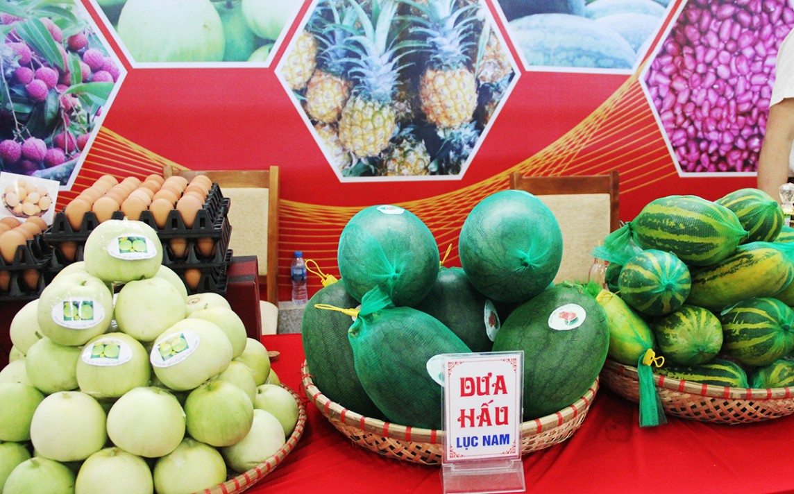 Các chủ thể tích cực đăng ký tham gia đánh giá, nâng hạng sản phẩm OCOP. Các chủ thể tích cực đăng ký tham gia đánh giá, nâng hạng sản phẩm OCOP.