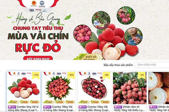 Triển khai bán hàng trên các sàn thương mại điện tử Triển khai bán hàng trên các sàn thương mại điện tử