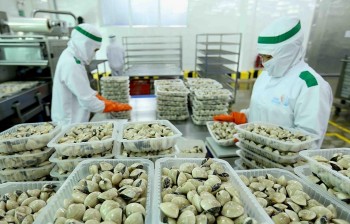 Kéo giảm chi phí logistics, nâng cao năng lực cạnh tranh cho hàng Việt tại thị trường Brazil