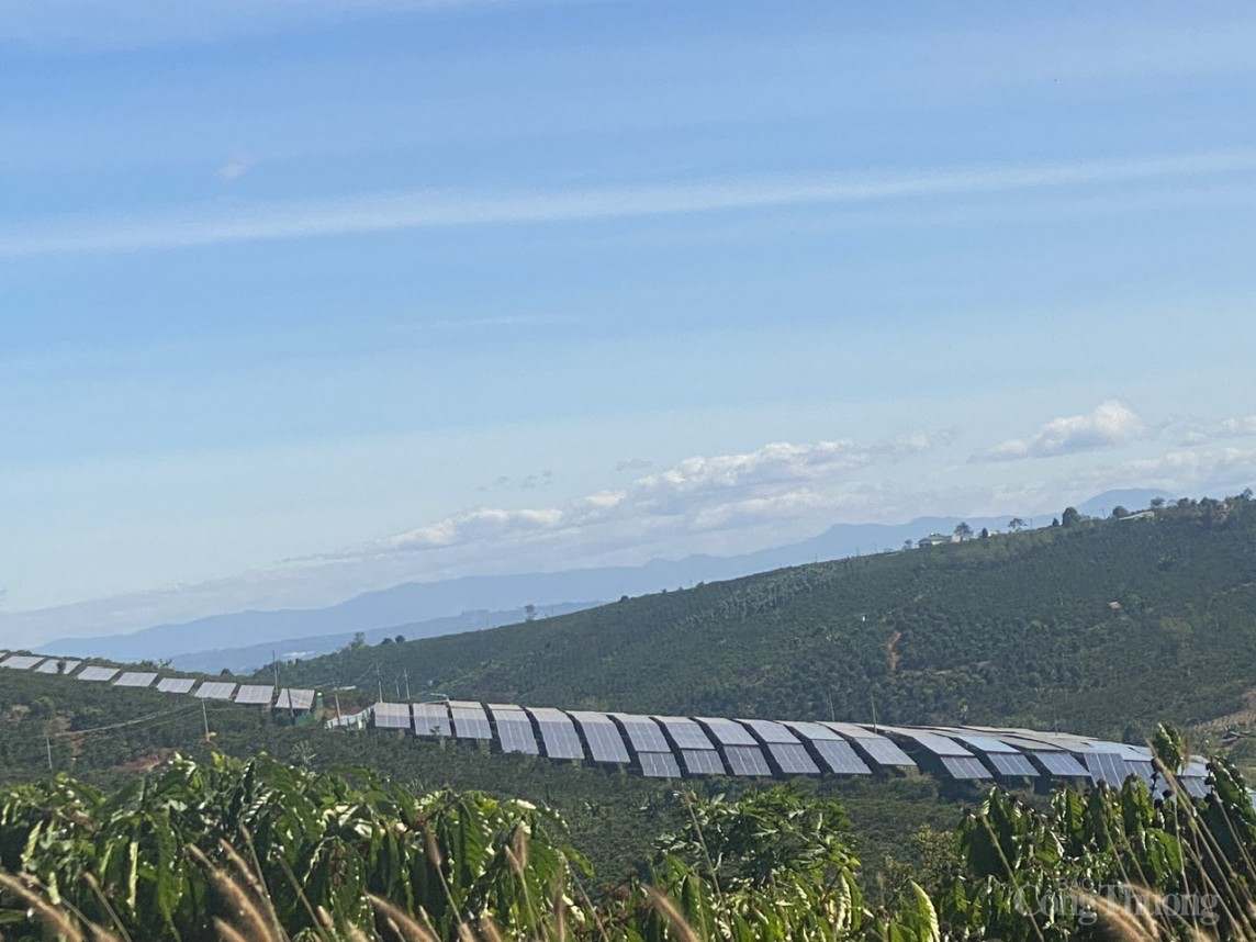 Lâm Đồng: Chủ động bảo đảm cung ứng điện trong thời gian cao điểm Lâm Đồng: Chủ động bảo đảm cung ứng điện trong thời gian cao điểm