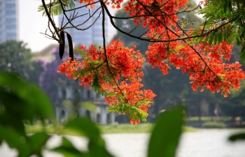 Dự báo thời tiết Hà Nội ngày mai 11/5/2024: Hà Nội tiếp tục mưa dông rải rác