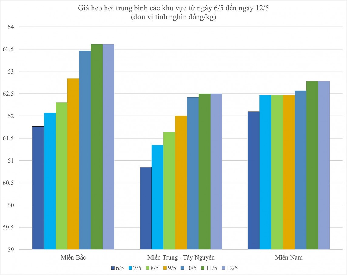biến động giá heo hơi biến động giá heo hơi