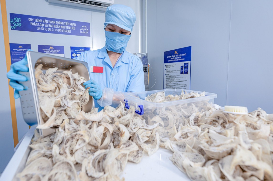 Xuất khẩu tuần 6/5-12/5: Xuất khẩu gạo tiếp tục tăng trưởng; vải thiều Thanh Hà được đưa sang Australia bằng máy bay Xuất khẩu tuần 6/5-12/5: Xuất khẩu gạo tiếp tục tăng trưởng; vải thiều Thanh Hà được đưa sang Australia bằng máy bay