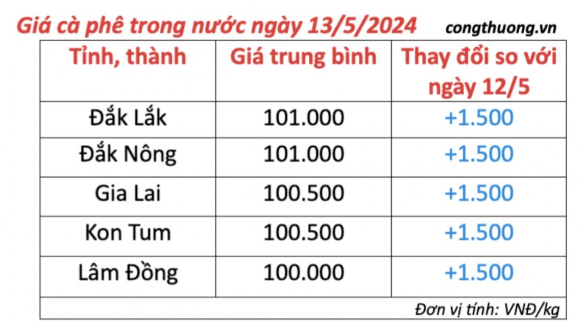 Giá cà phê hôm nay, 13/5/2024: Giá cà phê trong nước lấy lại đà tăng