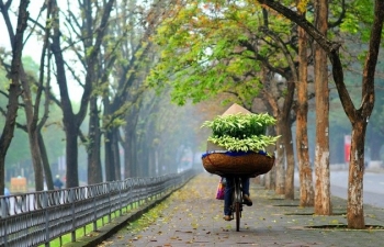 Dự báo thời tiết Hà Nội ngày mai 16/5/2024: Hà Nội ngày nắng nóng, chiều tối mưa dông