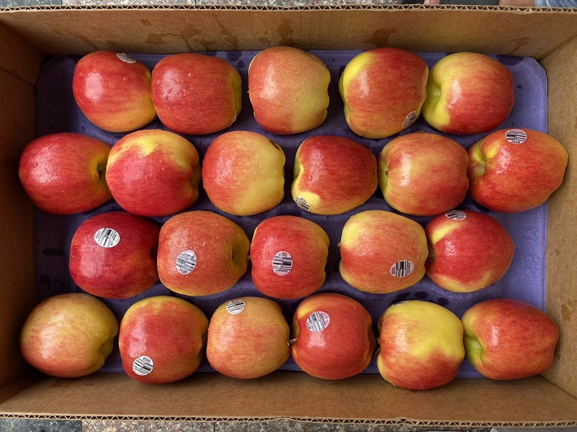 Táo là mặt hàng được nhập khẩu nhiều nhất trong nhóm rau quả Táo là mặt hàng được nhập khẩu nhiều nhất trong nhóm rau quả