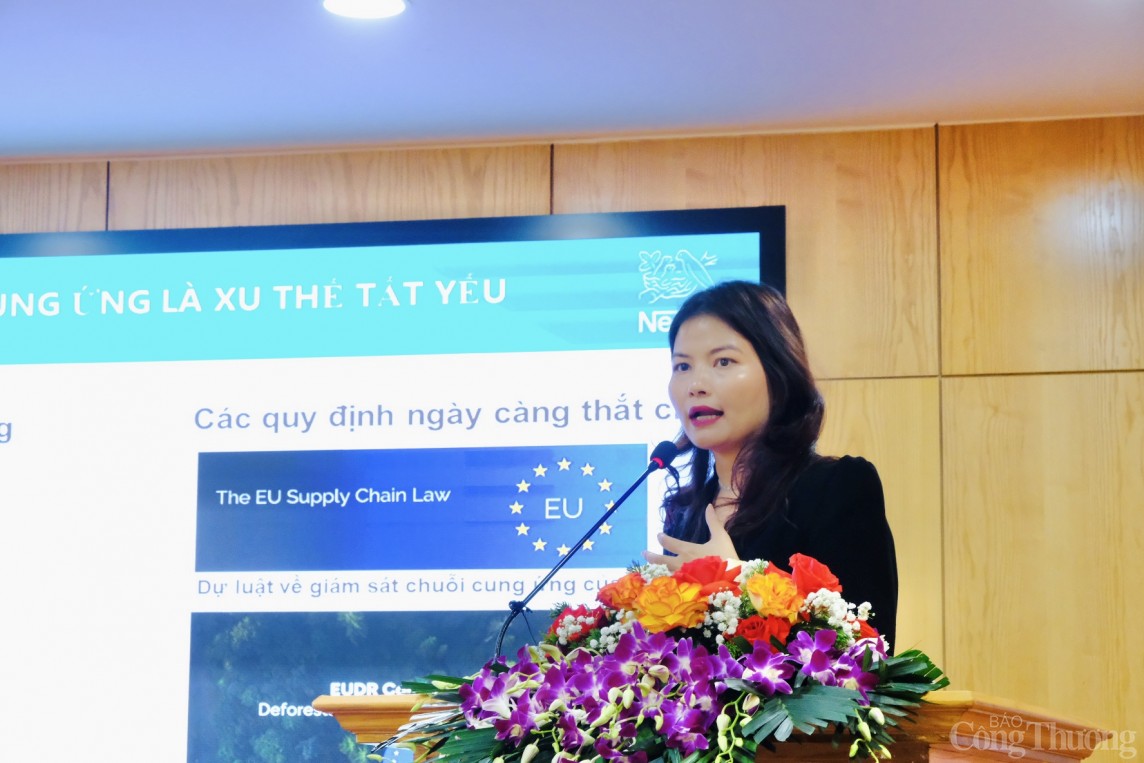 Logistics Việt Nam đang phát triển mức nào? Logistics Việt Nam đang phát triển mức nào?