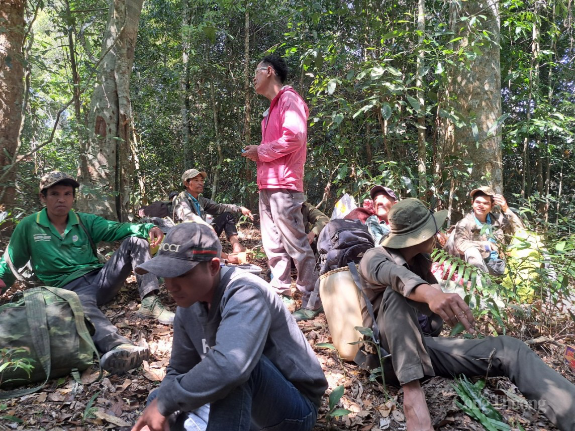 Lâm Đồng: Quyết tâm phối hợp giữ vững rừng vùng giáp ranh Lâm Đồng: Quyết tâm phối hợp giữ vững rừng vùng giáp ranh