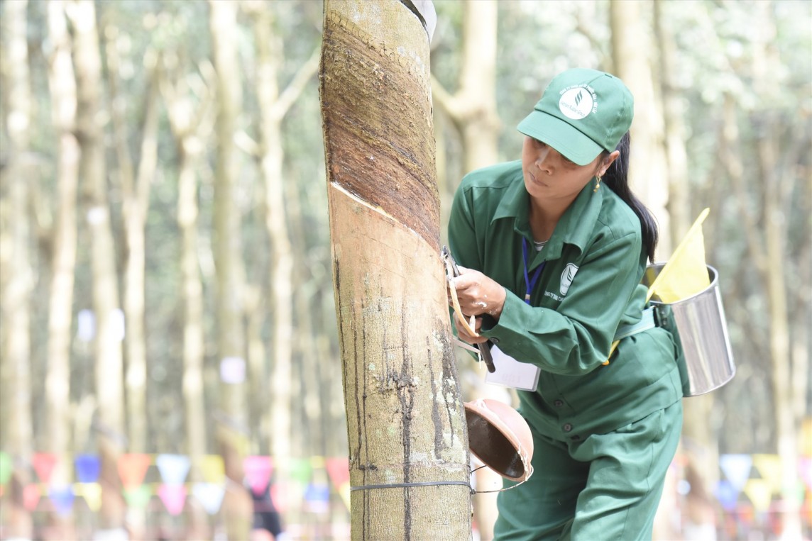 Giá cao su Giá cao su