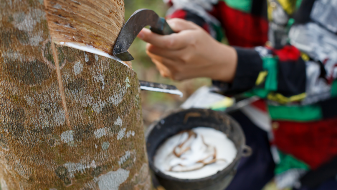 Giá cao su Giá cao su