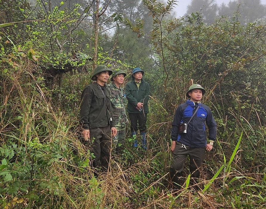 Thanh Hoá triển khai các biện pháp cấp bách phòng cháy, chữa cháy rừng