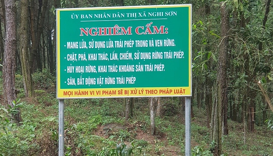 Thanh Hoá triển khai các biện pháp cấp bách phòng cháy, chữa cháy rừng