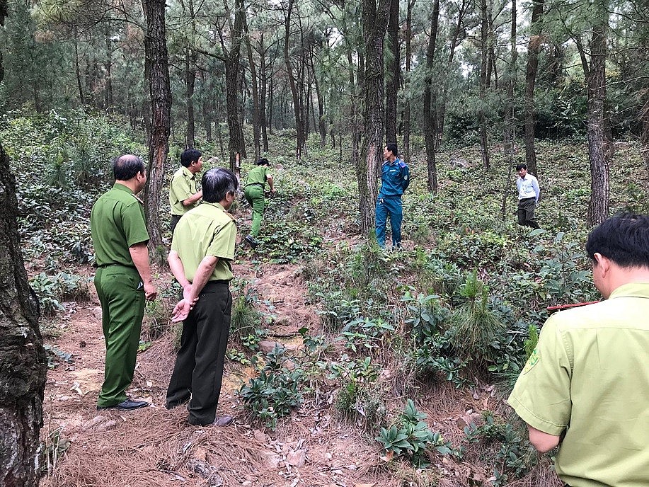 Thanh Hoá triển khai các biện pháp cấp bách phòng cháy, chữa cháy rừng