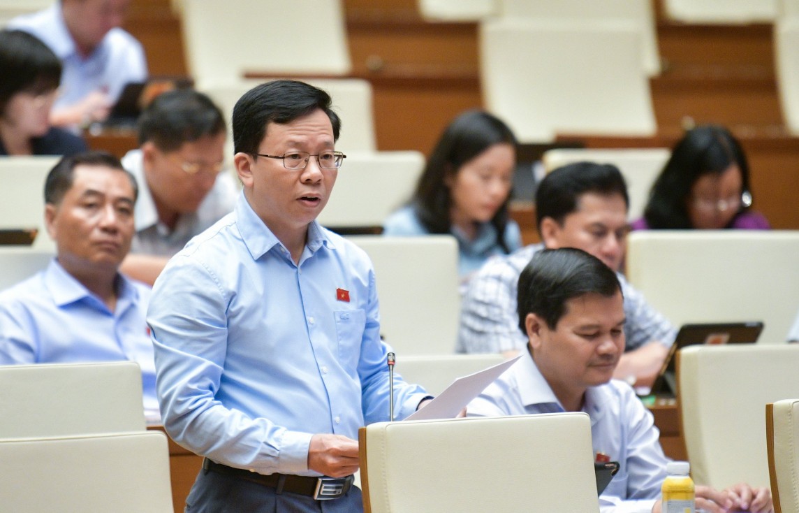 Đề nghị đưa “vận tải thực hiện trực tiếp bằng động vật" vào Luật đường bộ Đề nghị đưa “vận tải thực hiện trực tiếp bằng động vật" vào Luật đường bộ