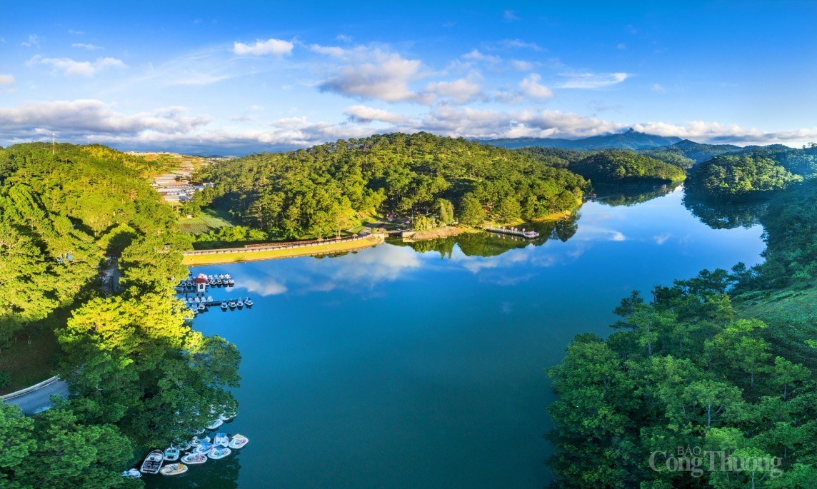 Lâm Đồng: Xử lý nợ thuế vấn đề nan giải cho cả cơ quan quản lý lẫn doanh nghiệp Lâm Đồng: Xử lý nợ thuế vấn đề nan giải cho cả cơ quan quản lý lẫn doanh nghiệp