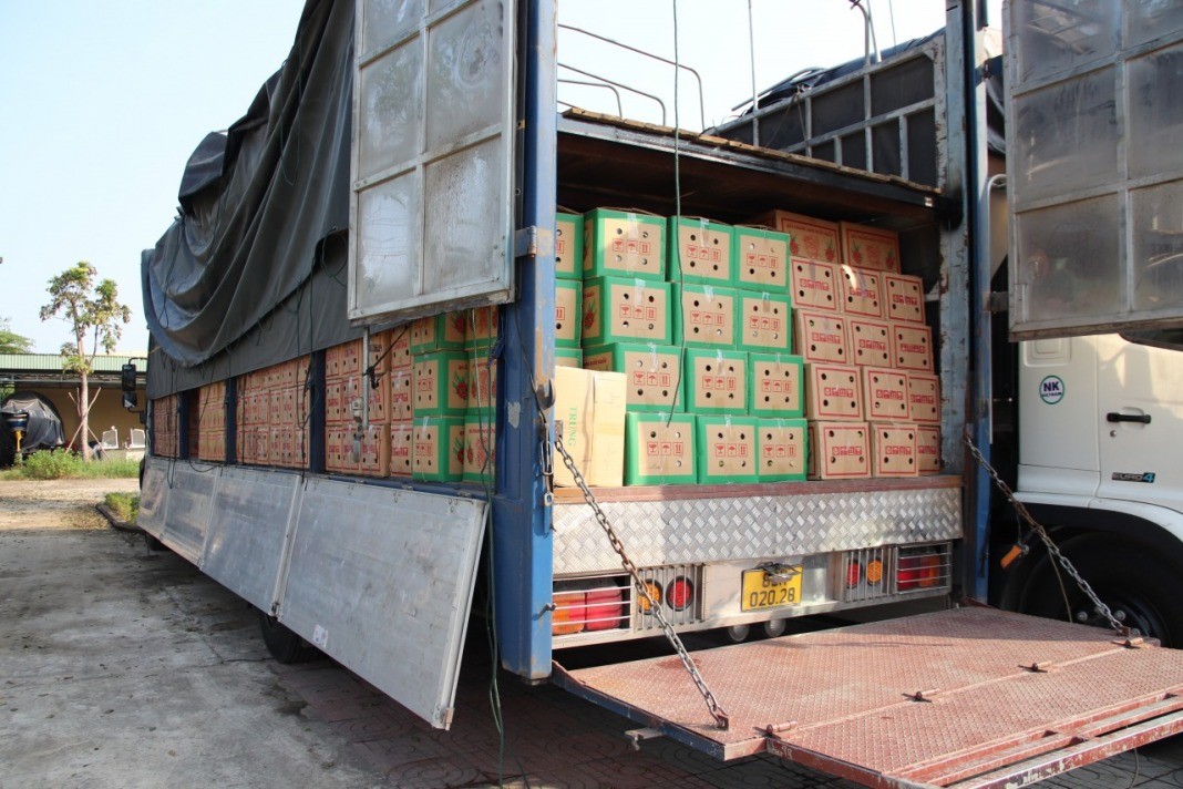 Quảng Bình: Đấu giá 758 chai rượu Johnnie Walker, Chivas Regal giá khởi điểm 257,9 triệu đồng Quảng Bình: Đấu giá 758 chai rượu Johnnie Walker, Chivas Regal giá khởi điểm 257,9 triệu đồng