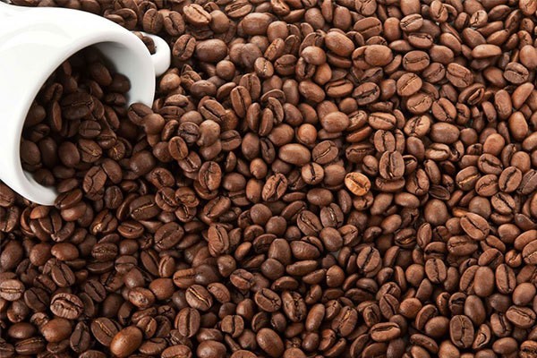 Giá cà phê Robusta tăng sốc, xu hướng tăng giá mới bắt đầu? Giá cà phê Robusta tăng sốc, xu hướng tăng giá mới bắt đầu?