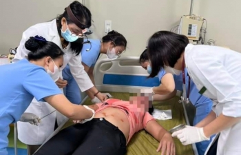 Hải Phòng: Phá tổ ong ở một khách sạn, nhiều người bị đốt nhập viện