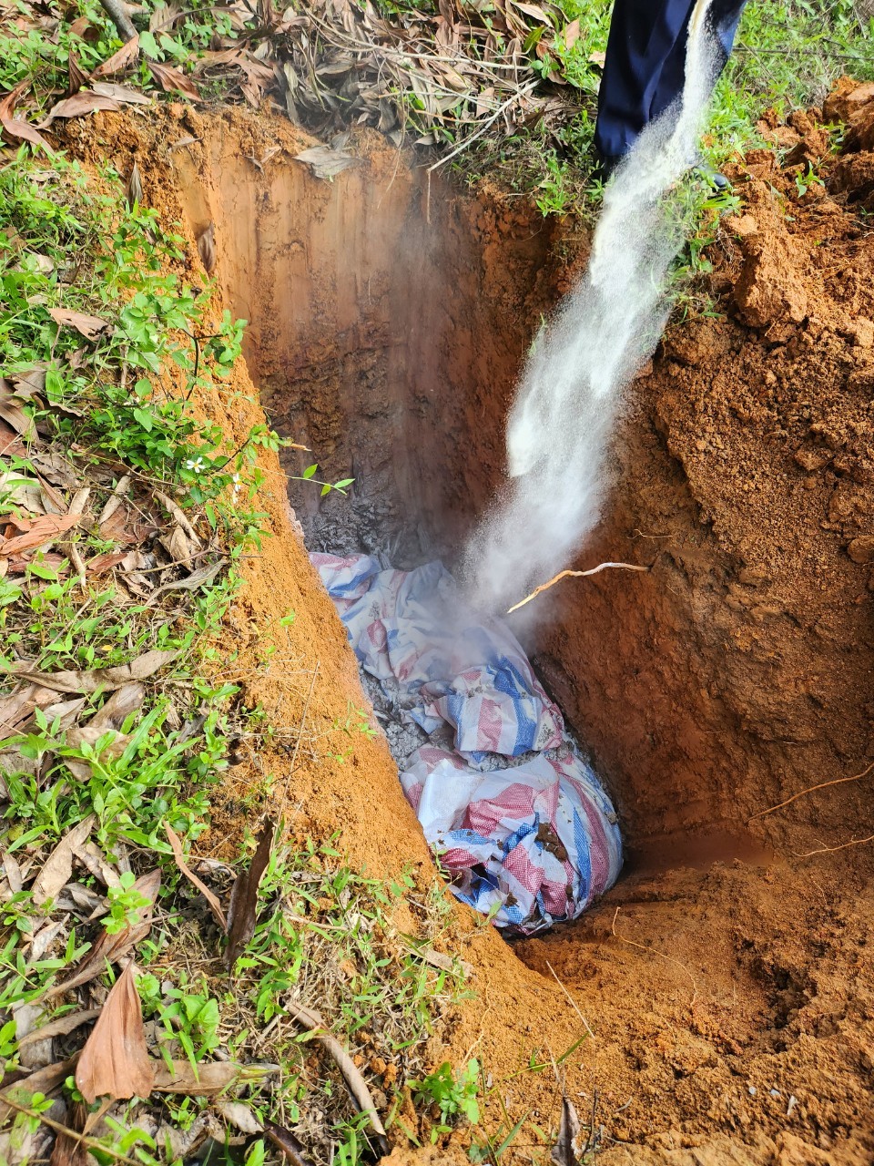 Tuyên Quang: Ngăn chặn kịp thời hơn 200 kg động vật lợn đã chết chuẩn bị tuồn ra thị trường Tuyên Quang: Ngăn chặn kịp thời hơn 200 kg động vật lợn đã chết chuẩn bị tuồn ra thị trường