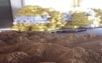 Đề nghị kiểm soát tình trạng nhập lậu bột xương thịt từ vùng dịch bò điên