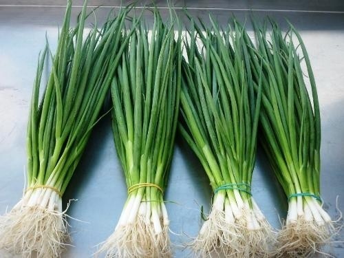 Giá nông sản hôm nay ngày 25/5:Giá tiêu tăng ngày thứ 4 liên tiếp; măng cụt Lái Thiêu mất mùa giá cao