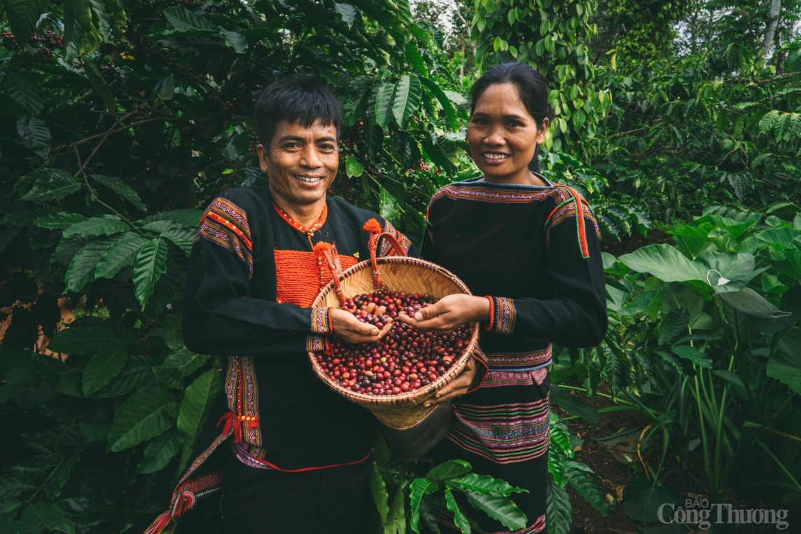 Thúc đẩy liên kết vùng Tây Nguyên (bài 1) – Cơ hội và thách thức Thúc đẩy liên kết vùng Tây Nguyên (bài 1) – Cơ hội và thách thức