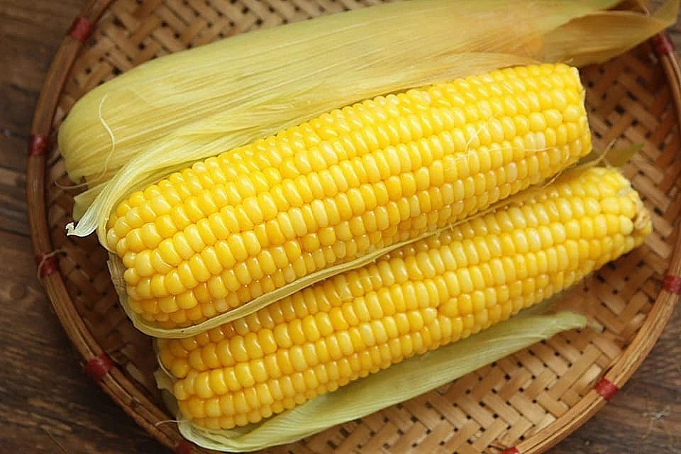ngô là một nguồn cung cấp dồi dào các loại vitamin C, vitamin B1, vitamin B9 ngô là một nguồn cung cấp dồi dào các loại vitamin C, vitamin B1, vitamin B9