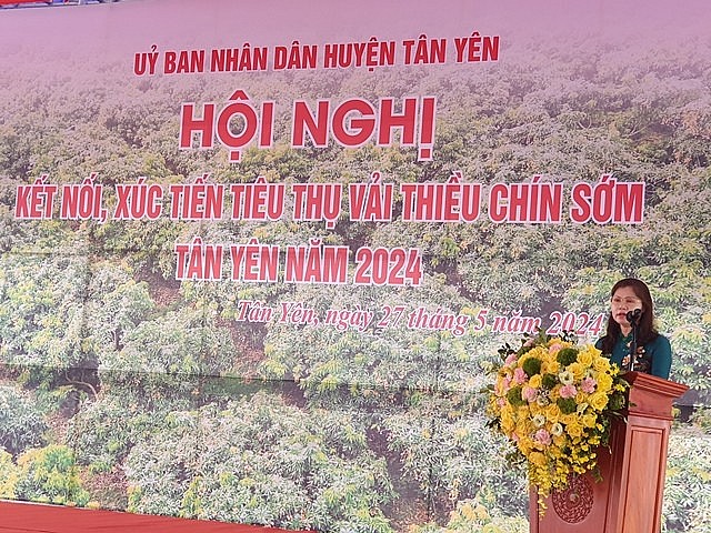 Bắc Giang: Xúc tiến tiêu thụ vải thiều chín sớm huyện Tân Yên Bắc Giang: Xúc tiến tiêu thụ vải thiều chín sớm huyện Tân Yên