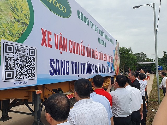 Bắc Giang: Xúc tiến tiêu thụ vải thiều chín sớm huyện Tân Yên Bắc Giang: Xúc tiến tiêu thụ vải thiều chín sớm huyện Tân Yên