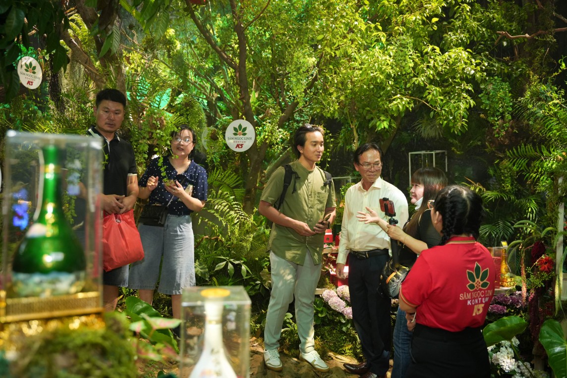 Du khách trong nước đã tìm hiểu thêm về môi trường trồng và phát triển sâm Ngọc Linh K5 Du khách trong nước đã tìm hiểu thêm về môi trường trồng và phát triển sâm Ngọc Linh K5