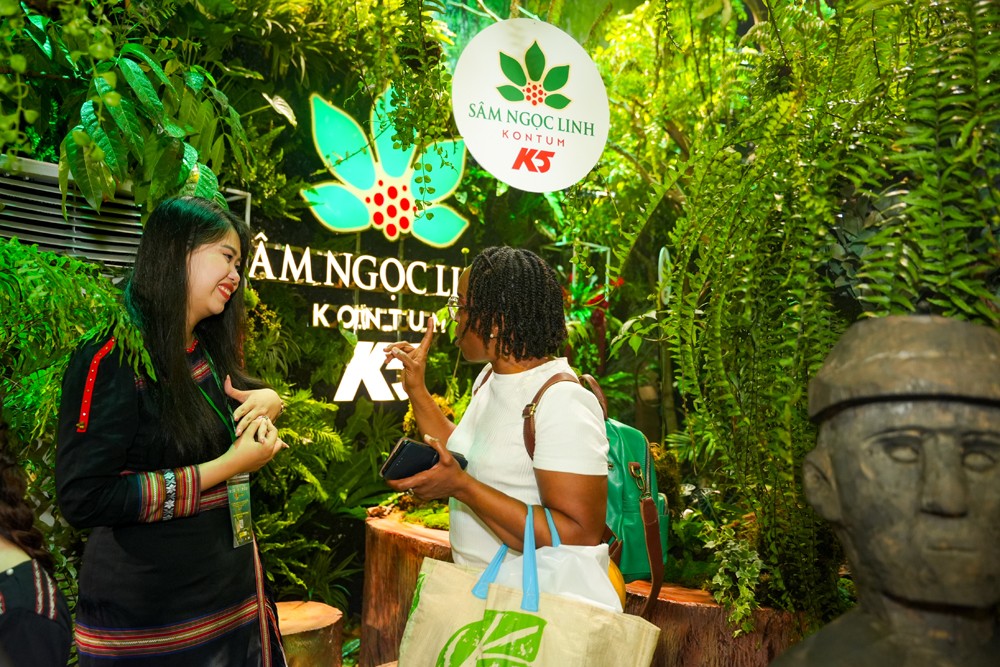 Vingin lan tỏa thông điệp bảo vệ rừng và môi trường trong canh tác sâm Ngọc Linh K5 Vingin lan tỏa thông điệp bảo vệ rừng và môi trường trong canh tác sâm Ngọc Linh K5