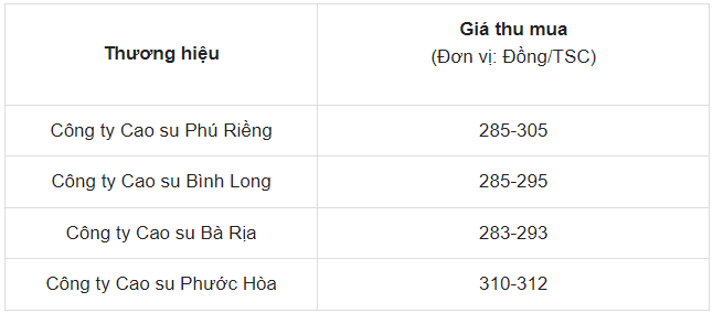 Giá cao su ngày 29/5/2024: Tăng cao nhất trong 7 năm qua Giá cao su ngày 29/5/2024: Tăng cao nhất trong 7 năm qua