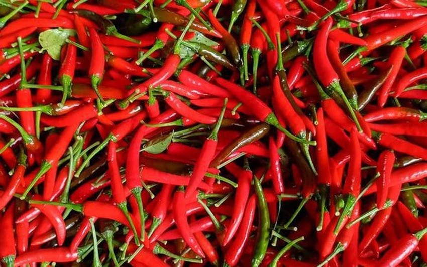 Giá nông sản hôm nay ngày 29/5: Giá tiêu tăng sốc đua với cà phê; ớt vừa mất mùa, mất giá Giá nông sản hôm nay ngày 29/5: Giá tiêu tăng sốc đua với cà phê; ớt vừa mất mùa, mất giá