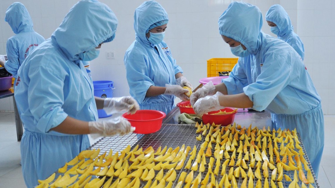 Tận dụng tốt hơn nữa ưu đãi từ các FTA để đẩy mạnh xuất khẩu gạo, rau quả