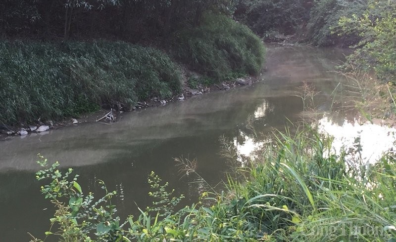 Đồng Nai: Mỏ đá Tân Cang 2 và nhiều nguồn thải đang “bức tử” sông Buông