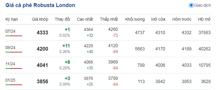 Dự báo giá cà phê ngày 6/6/2024: Dự báo giá cà phê ngày 6/6/2024: