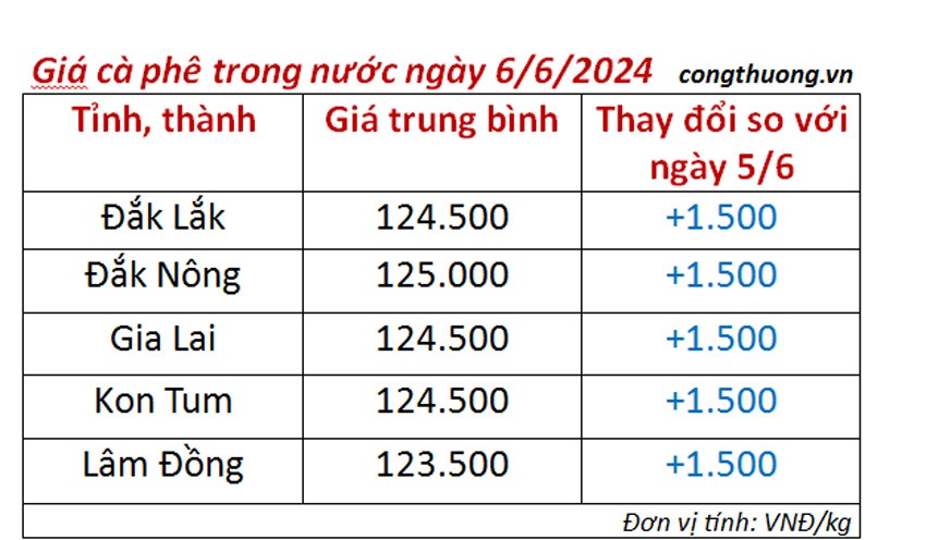 Giá cà phê hôm nay ngày 6/6/2024: Giá cà phê hôm nay ngày 6/6/2024: