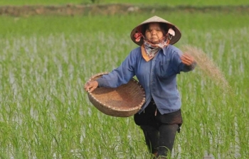 Tổng điều tra nông thôn, nông nghiệp năm 2025 trên phạm vi cả nước vào ngày 1/7