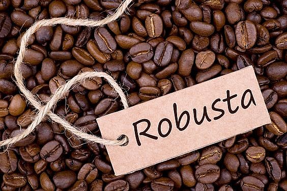giá cà phê Robusta bất ngờ giảm nhiệt giá cà phê Robusta bất ngờ giảm nhiệt
