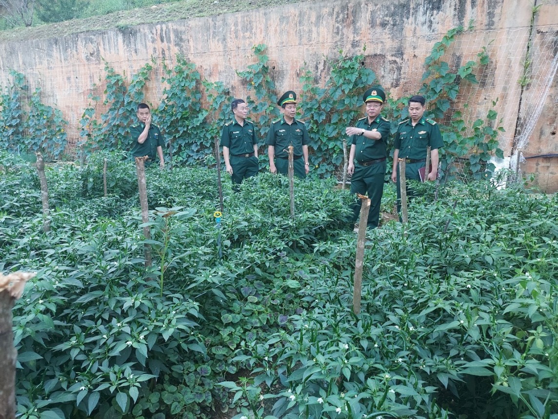 Bộ Tư lệnh Bộ đội Biên phòng kiểm tra công tác Hậu cần, kỹ thuật tại Hà Giang Bộ Tư lệnh Bộ đội Biên phòng kiểm tra công tác Hậu cần, kỹ thuật tại Hà Giang