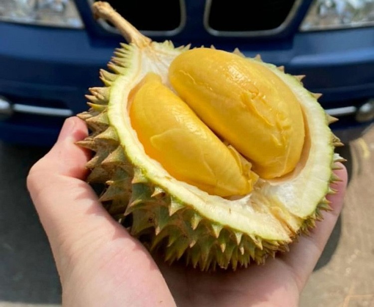 Giá nông sản hôm nay ngày 9/6/2024: Giá tiêu nối tiếp đà tăng, hướng đến ký lục mới; nhãn Ido giảm giá Giá nông sản hôm nay ngày 9/6/2024: Giá tiêu nối tiếp đà tăng, hướng đến ký lục mới; nhãn Ido giảm giá