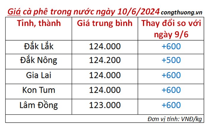 Giá cà phê hôm nay ngày 10/6/2024: Giá cà phê hôm nay ngày 10/6/2024: