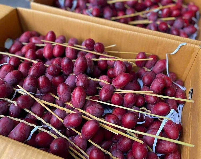 Giá nông sản hôm nay ngày 10/6/2024: Tiêu trong nước không ngừng tăng; hoa quả tăng giá trong Tết Đoan ngọ Giá nông sản hôm nay ngày 10/6/2024: Tiêu trong nước không ngừng tăng; hoa quả tăng giá trong Tết Đoan ngọ