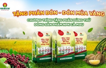 Phân bón Cà Mau đồng hành cùng nông dân Việt Nam: Tặng phân bón, đón mùa vàng